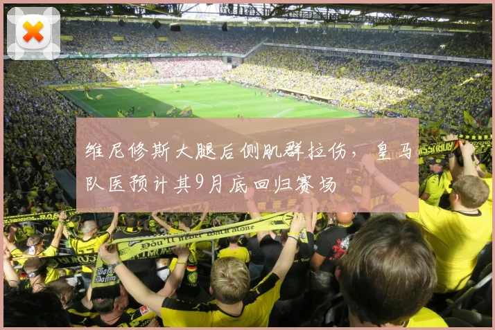 维尼修斯大腿后侧肌群拉伤,皇马队医预计其9月底回归赛场